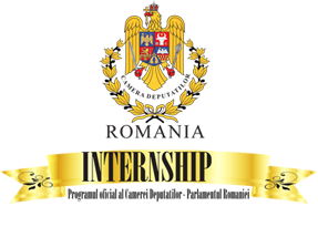 Logo Internship