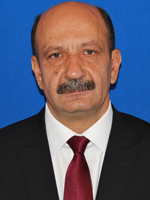 Ion Ochi
