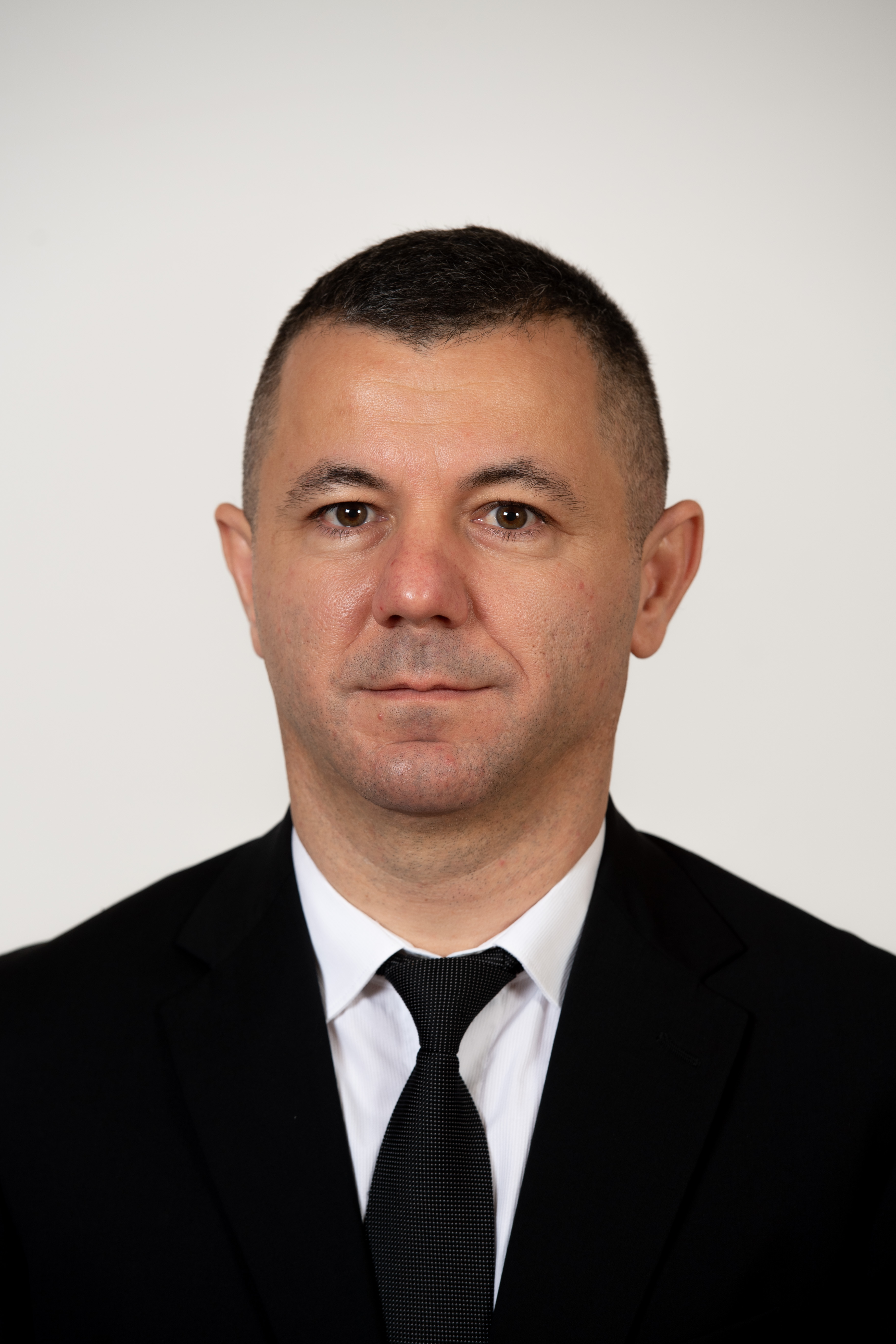 Ion-Narcis Mircescu