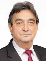 Aurel Nechita